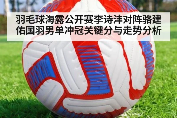 羽毛球海露公开赛李诗沣对阵骆建佑国羽男单冲冠关键分与走势分析
